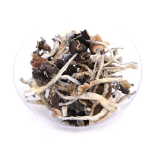 B-Magic-Mushrooms for sale