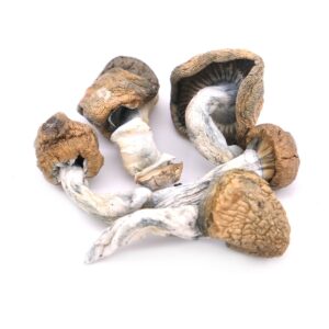 Blue Meanies Magic Mushrooms for sale