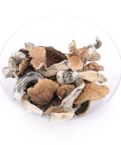 Buy Cambodian Magic Mushrooms Oregon