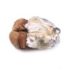 Buy Dino Eggs Magic Mushrooms