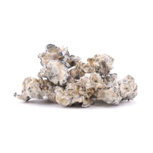 Buy Enigma online in Usa or Canada