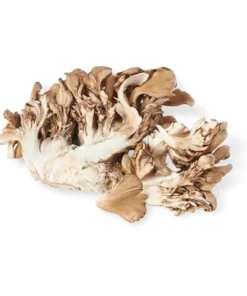 Buy Maitake Mushroom-1kg
