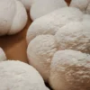 Buy Fresh Lion’s Mane – 1kg