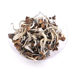 Buy Mazatapec Magic Mushrooms oregon