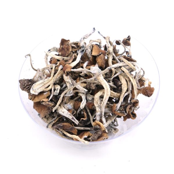 Buy Mazatapec Magic Mushrooms oregon