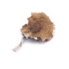 Buy Mexi-Magic-Mushroom online
