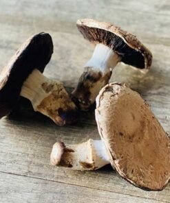 Buy Fresh Portabella Mushroom-1kg