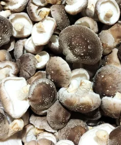 Buy Fresh Shiitake Mushrooms – 1kg