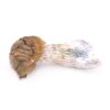 Buy Tidal wave mushrooms
