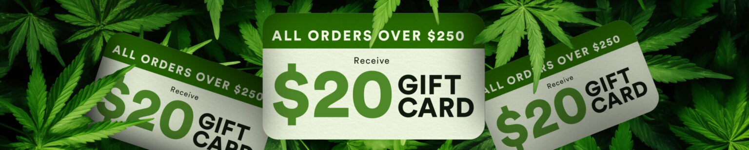 buy cannabis online USA & Canada