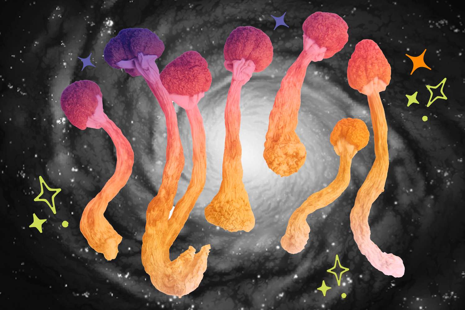 Buy Magic Mushrooms Online