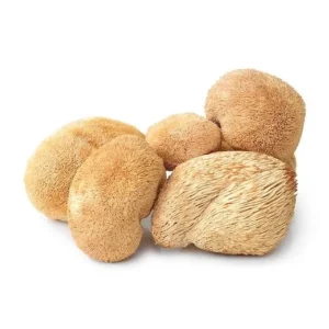 Buy Dried Lions Mane-1kg