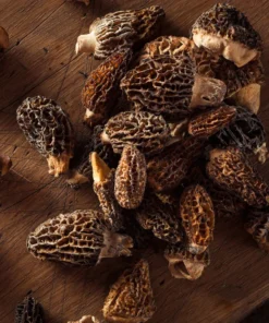 Buy Fresh Morel Mushrooms-1kg