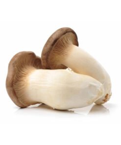 Buy King Oyster Mushrooms – 1kg