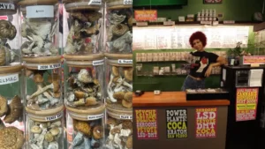 Psilocybin mushrooms for sale in Georgia