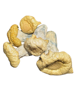 buy HillBilly Magic Mushrooms