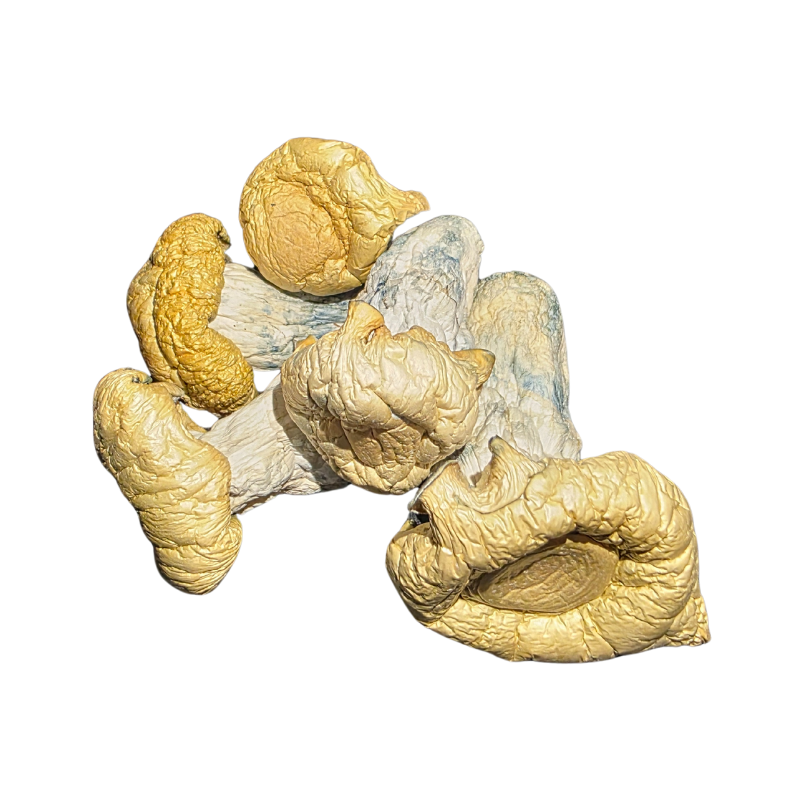 buy HillBilly Magic Mushrooms