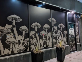 Evergreenshrooms