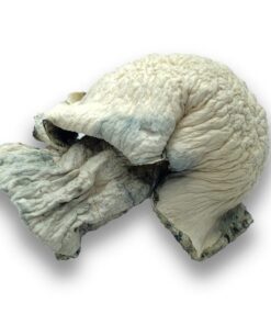 buy Fisher Magic Mushrooms