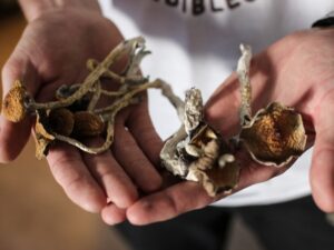 Psilocybin mushrooms in Oklahoma
