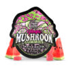 Buy Watermelon Wonder Magic Mushroom Gummies