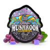buy Sour Grape Mushroom Gummies California
